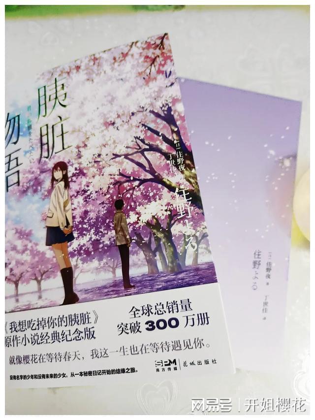 小猫钓鱼正版下载中文版